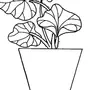 Категория Растения