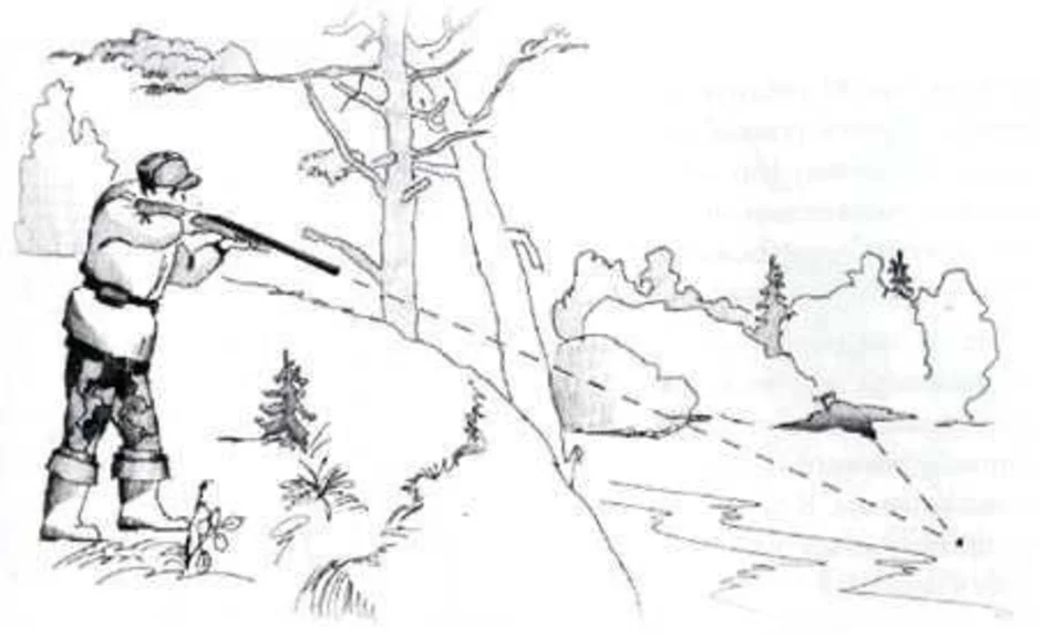 Иллюстрация к рассказу васюткино озеро карандашом