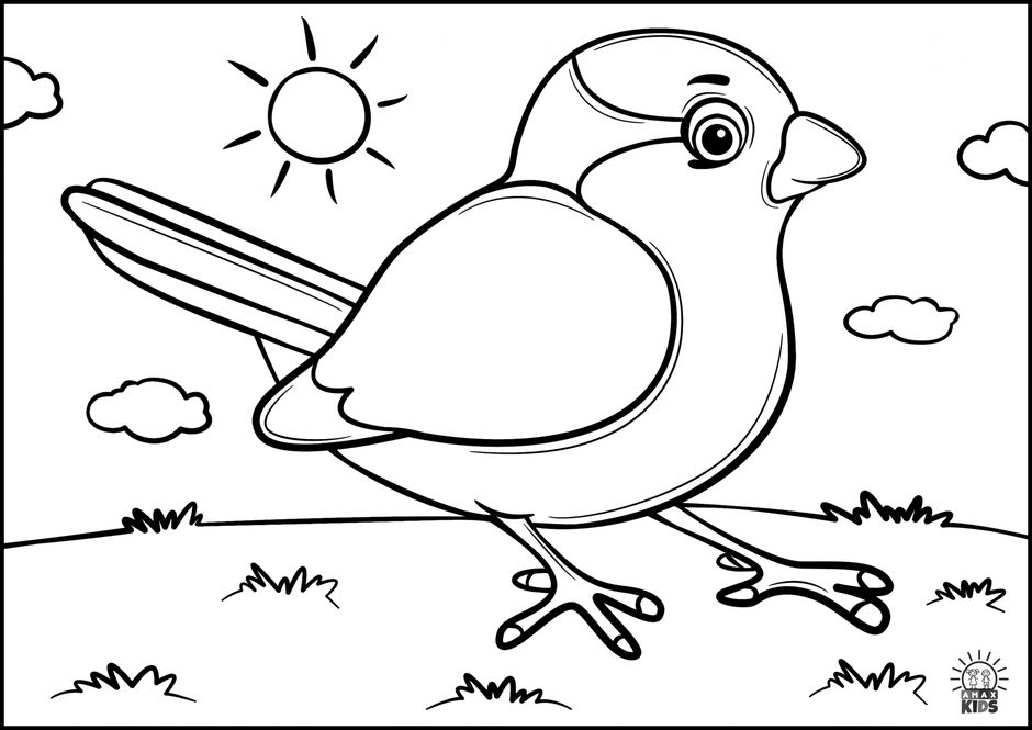 Sparrow to color for kids