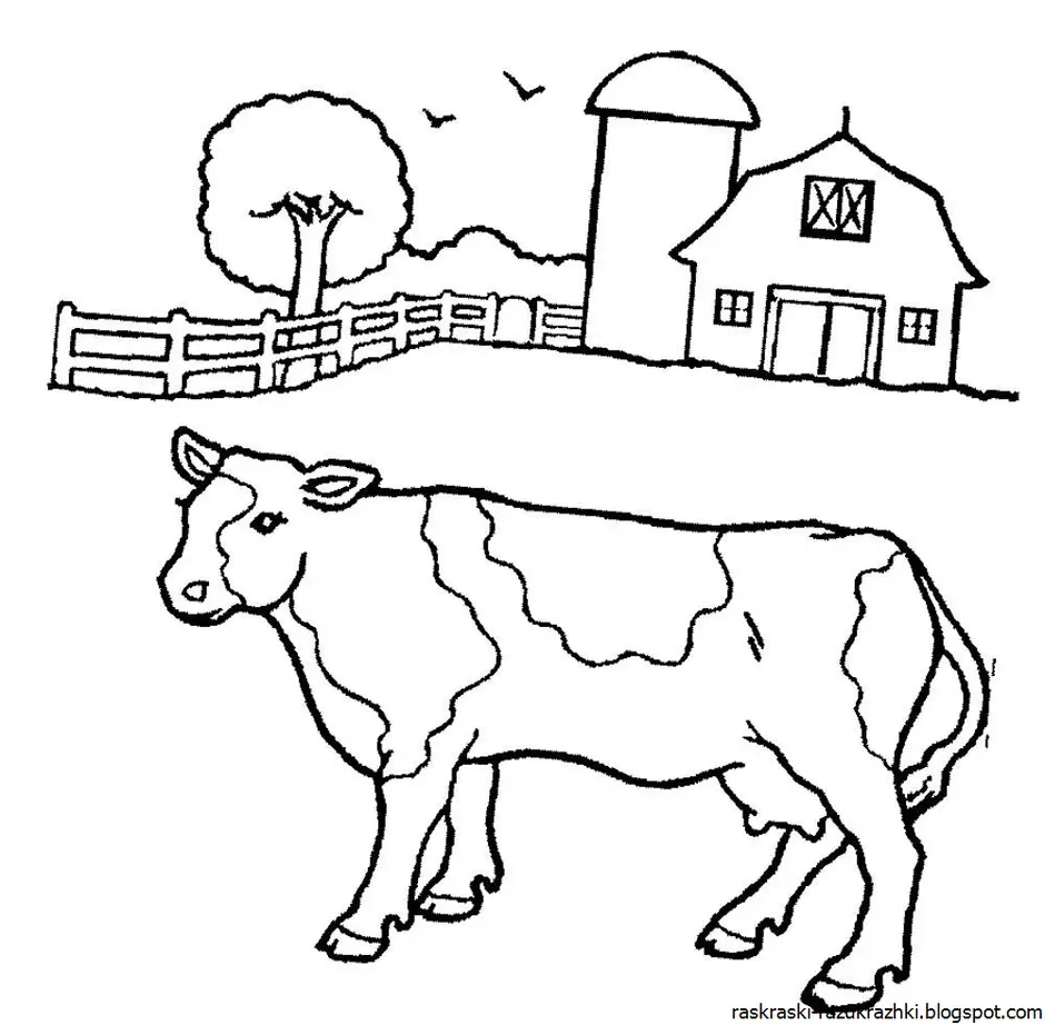 Стадо коров раскраски для детей