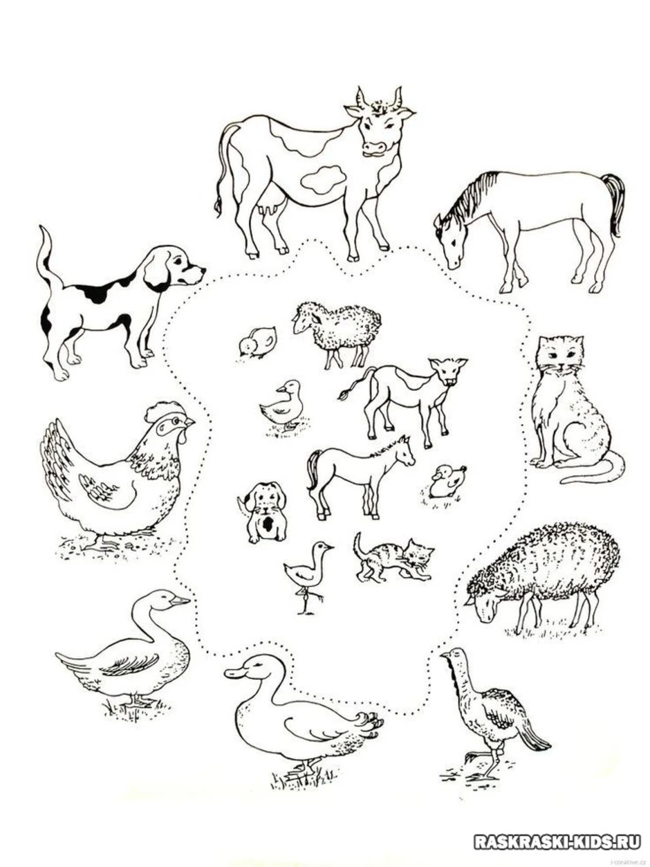 Домашние животные раскраска на одном листе