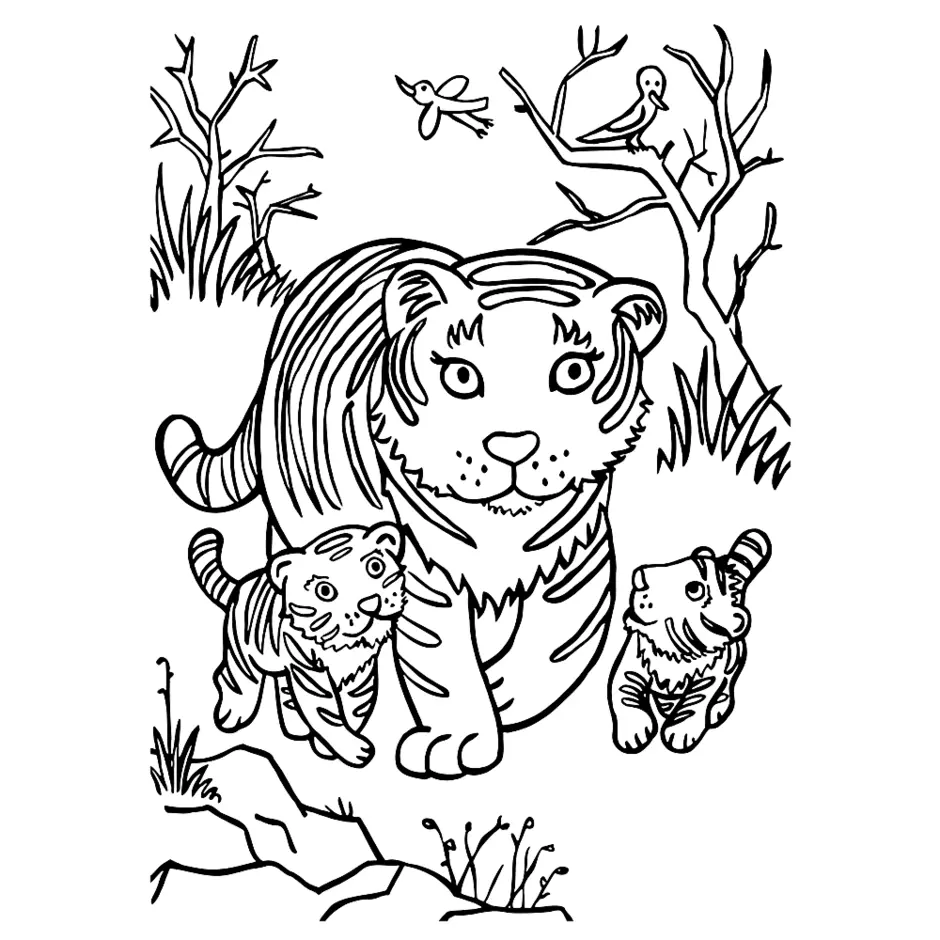 Раскраска для детей тигр