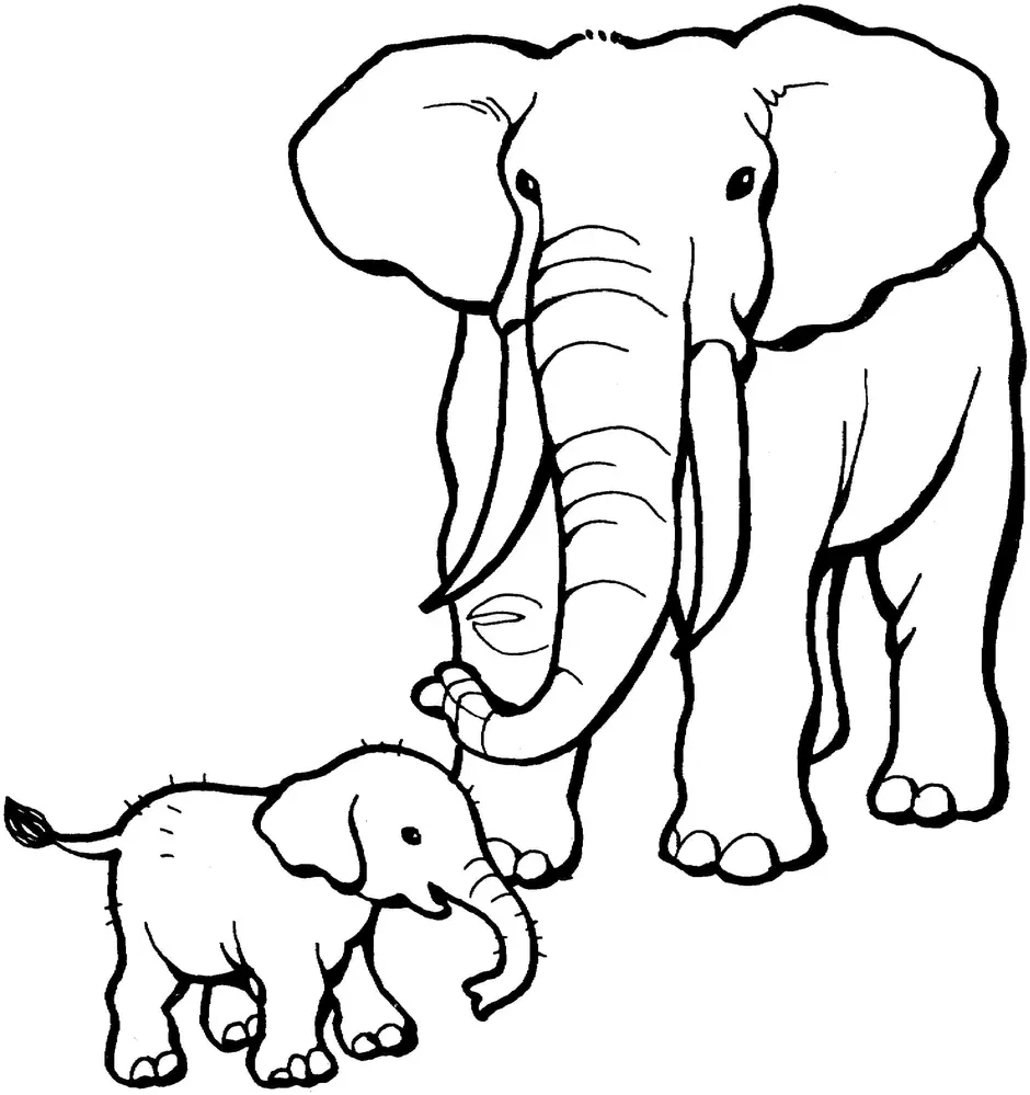 Раскраска слон для детей