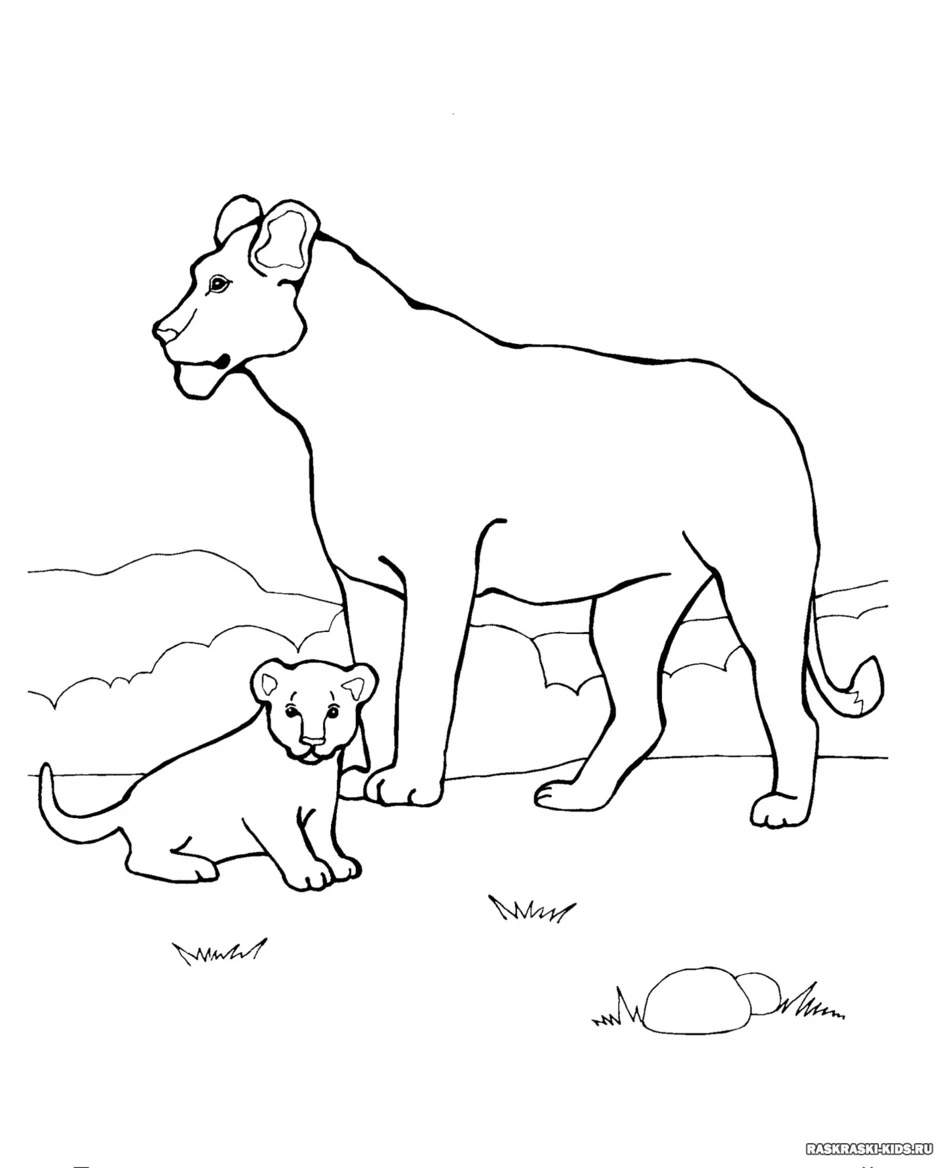 Раскраска пантера с детенышем