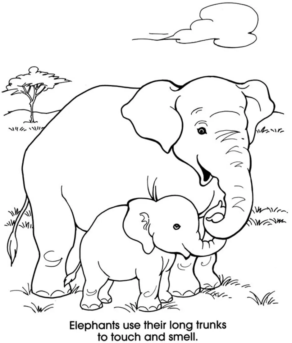 Слон со слоненком раскраска для детей