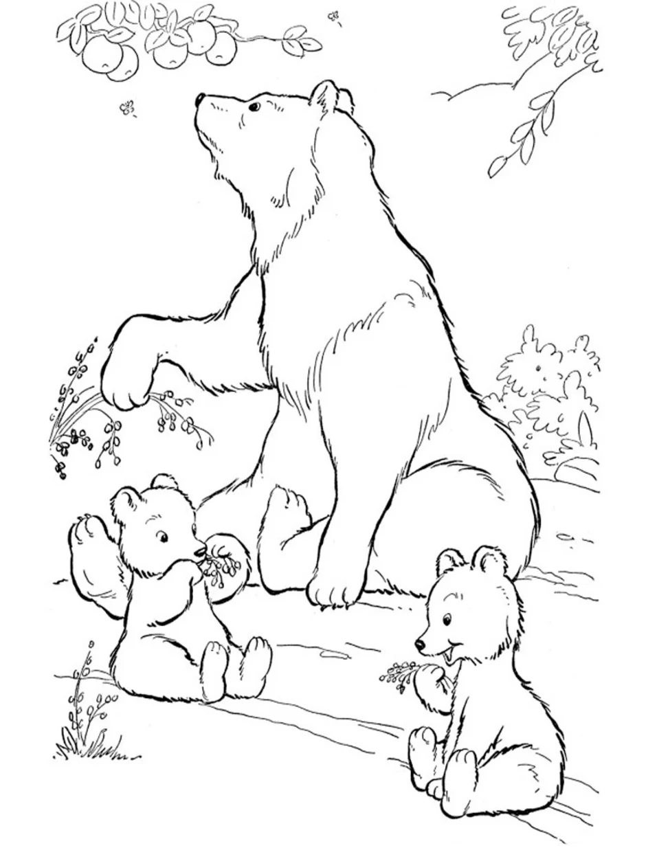 Раскраска медведица с медвежатами для детей