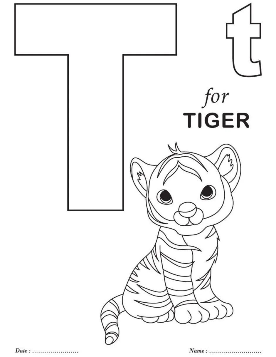 T is for tiger