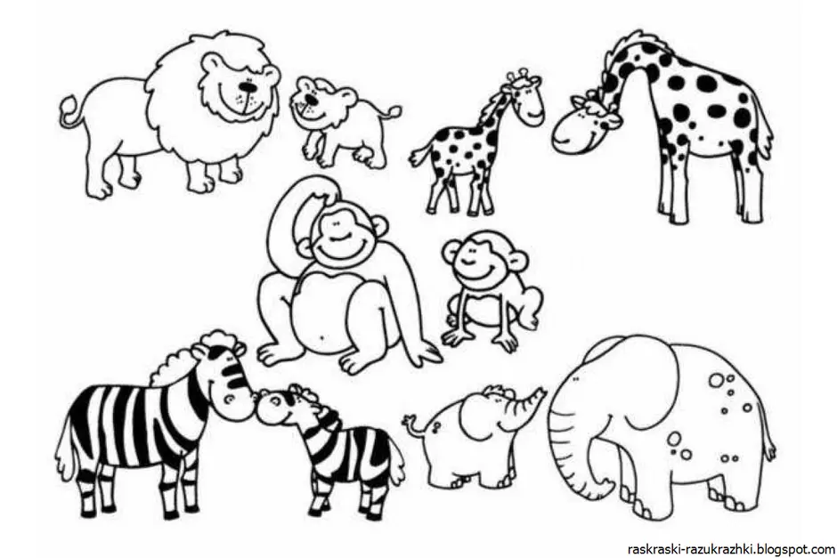 Много животных раскраска для детей