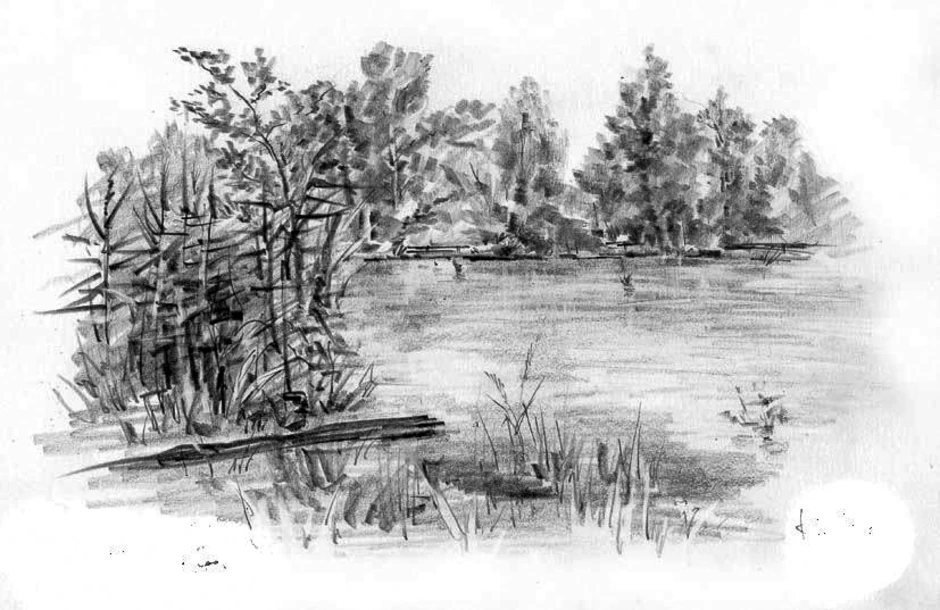Васюткино озеро иллюстрация карандашом. Васюткино озеро. Васюткино озеро в лесу. Астафьев Васюткино озеро раскраска. Астафьев Васюткино озеро рисунок.