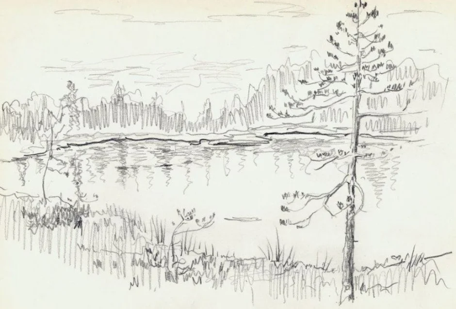 Васюткино озеро иллюстрация карандашом. Лёгкий набросок Васюткино озеро. Васюткино озеро черно-белые. Раскраска к рассказу Васюткино озеро.