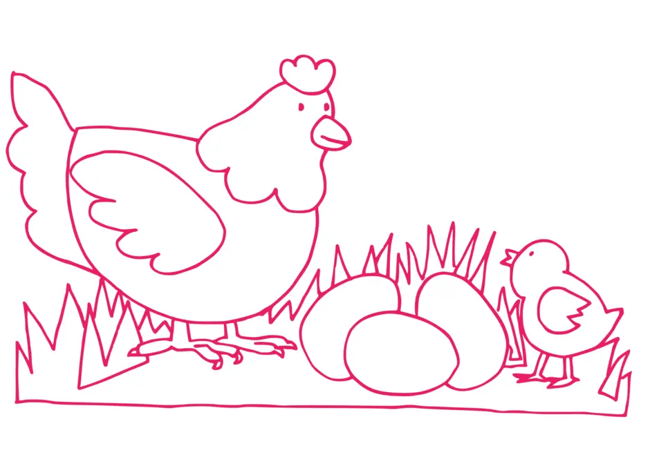 Курица раскраска для детей