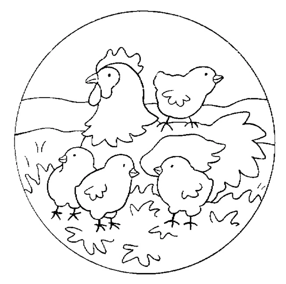 Цыпленок раскраска для детей