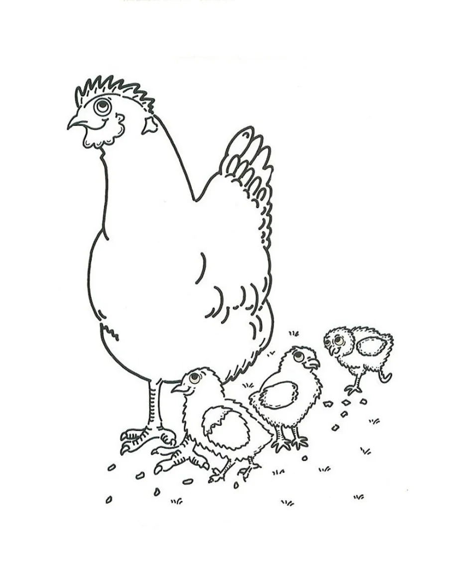 Курица с цыплятами раскраска
