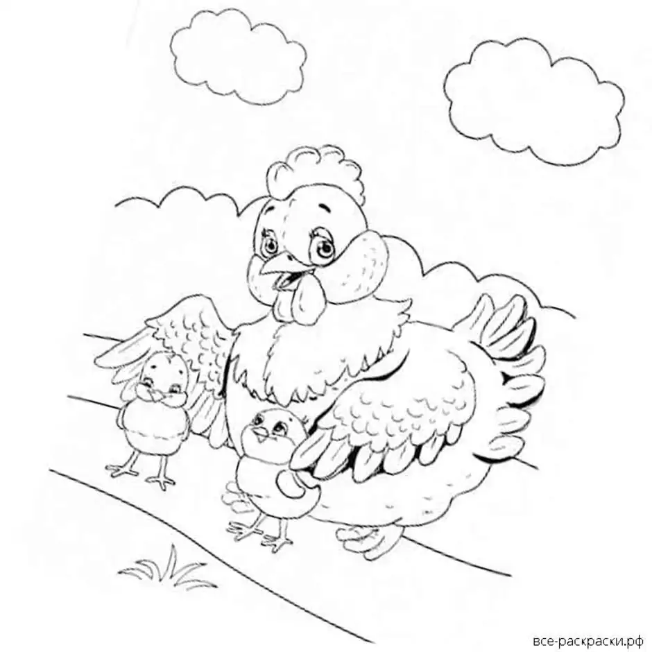 Курица раскраска для детей