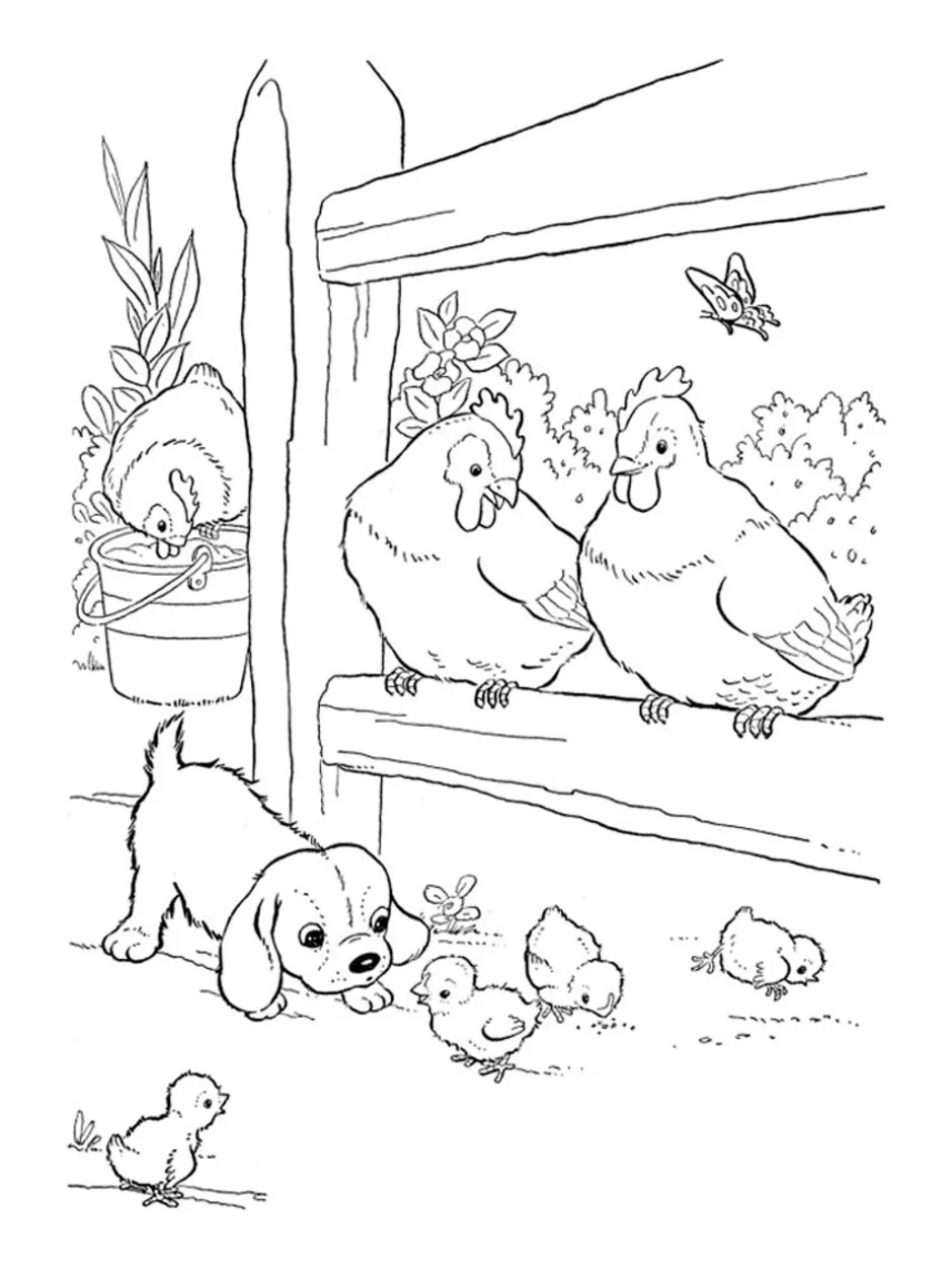 Раскраски ферма цыплята