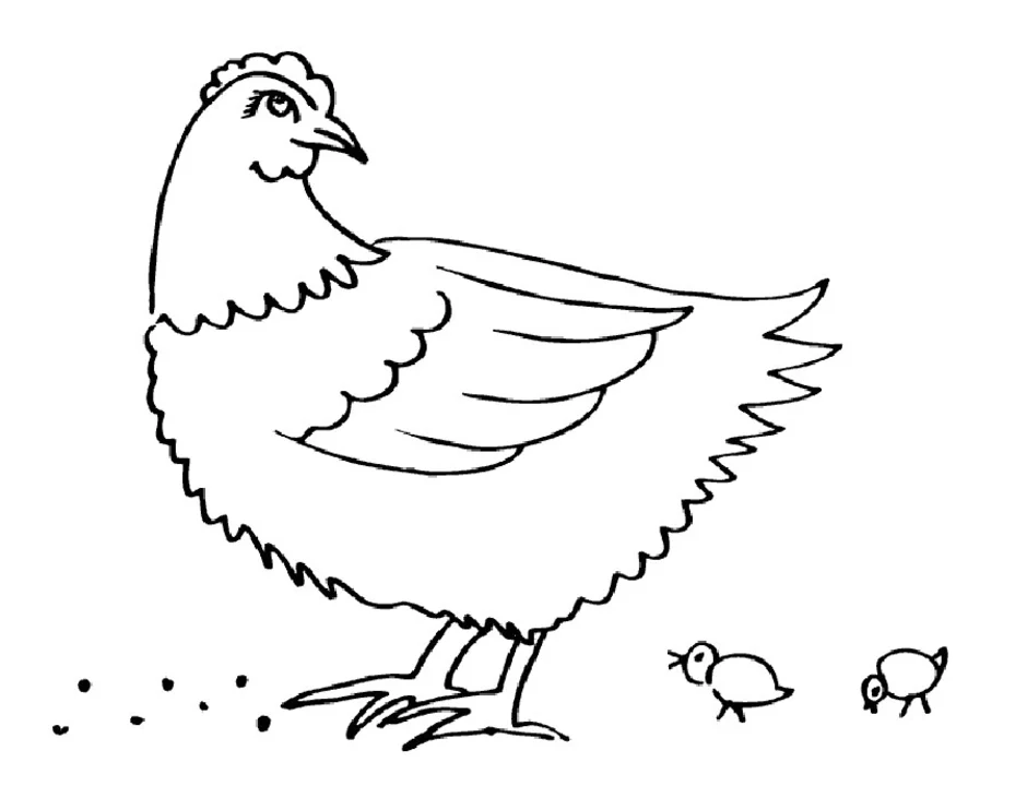 Раскраска курица для детей