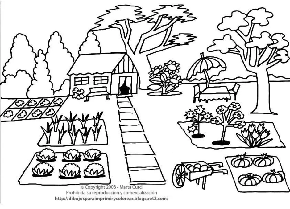 Огород раскраска для детей