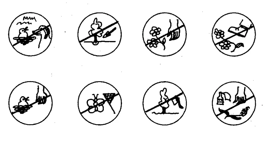 Рисунки условных. Знаки правила поведения в природе. Знаки поведения на лугу. Условные знаки правил поведения в лесу. Запрещающие знаки в природе.