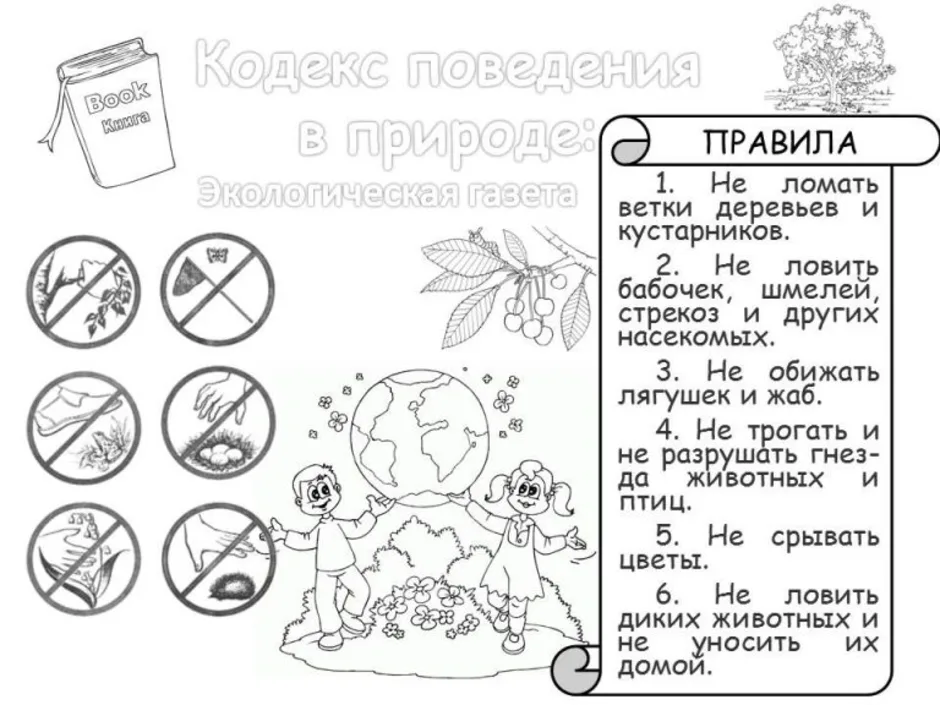 Правила поведения в лесу картинки раскраски