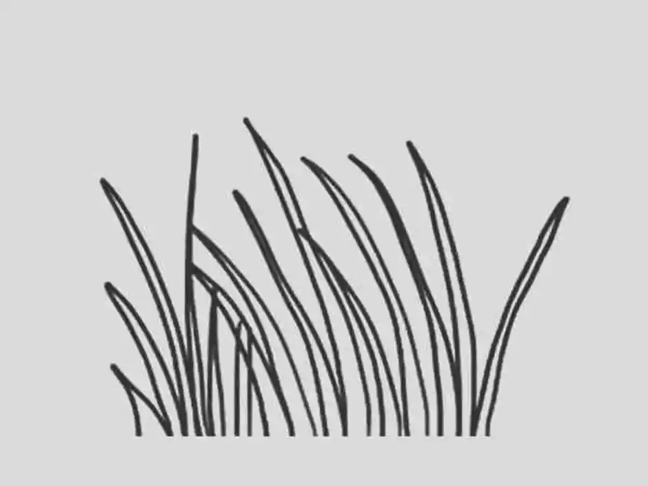 Раскраска трава