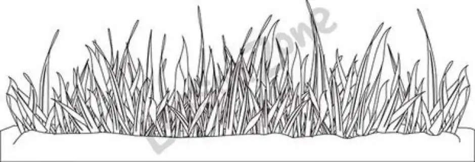 Трава рисунок для детей