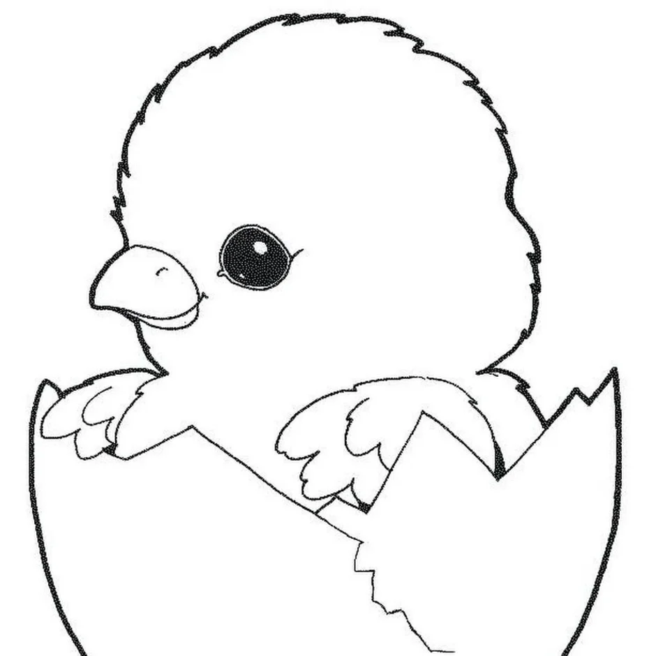 Раскраска про невылупившихся цыплят
