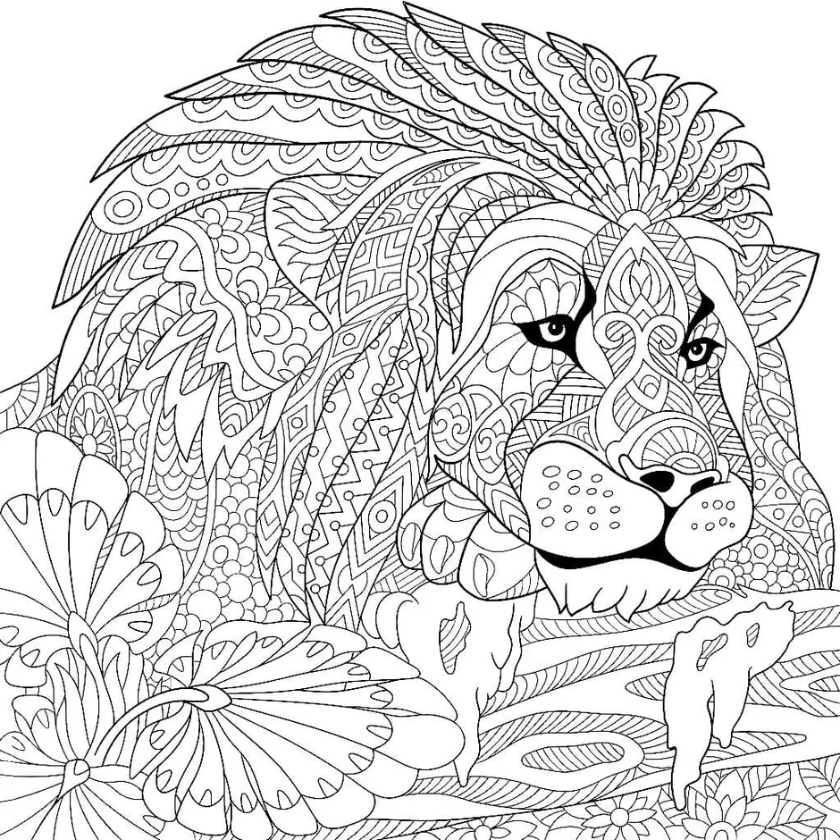 Лев антистресс раскраска в цвете