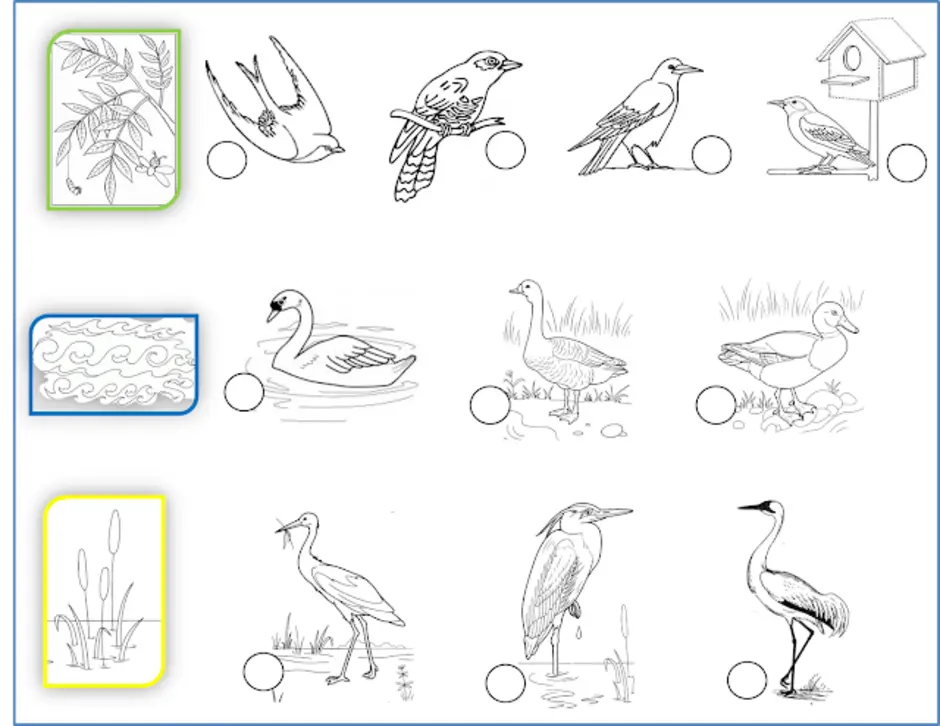 Перелетные птицы задания логопеда. Перелетные птицы задания для дошкольников. Зимующие птицы задания логопеда. Задания для малышей зимующие и перелетные птицы.