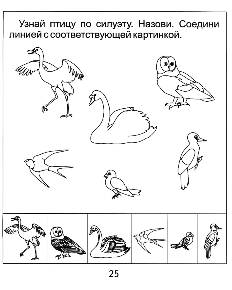 Задания на тему перелетные птицы для дошкольников