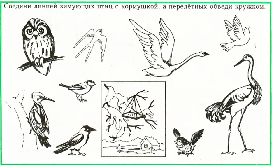 Задания для малышей зимующие и перелетные птицы