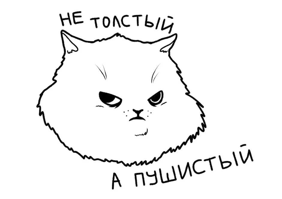 Мем: "Ну привет Педрила", Memes, Cats, Mood pics