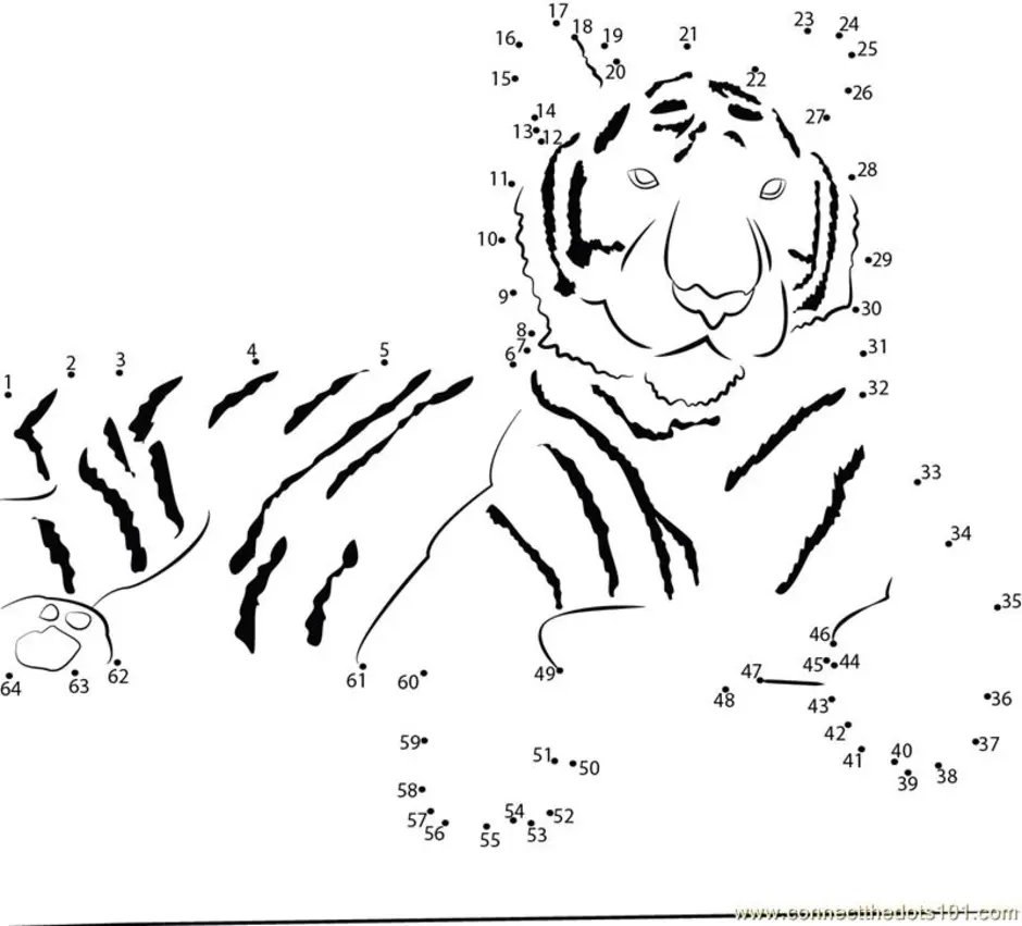 Левый соединить. Тигр по точкам. Рисование по точкам тигр. Раскраска по точкам тигр. Тигр рисование по точкам для детей.