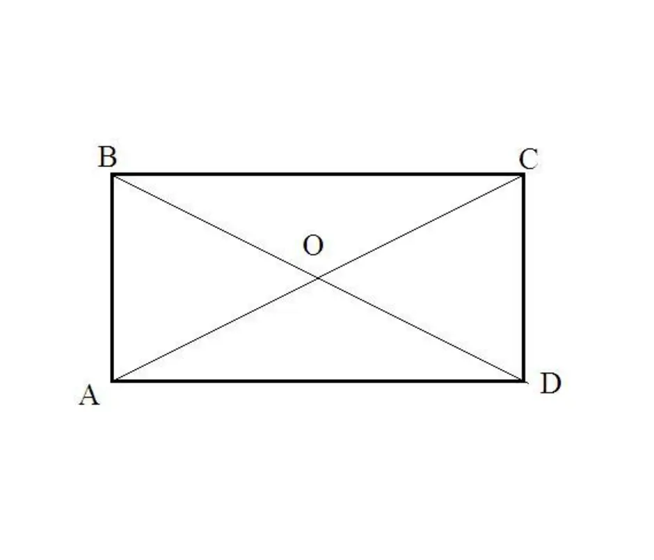 Диагональ прямоугольника образует угол 51 с одной. Прямоугольник рисунок. Диагональ прямоугольника. Точка пересечения диагоналей прямоугольника. Рисунок прямоугольника с диагоналями.
