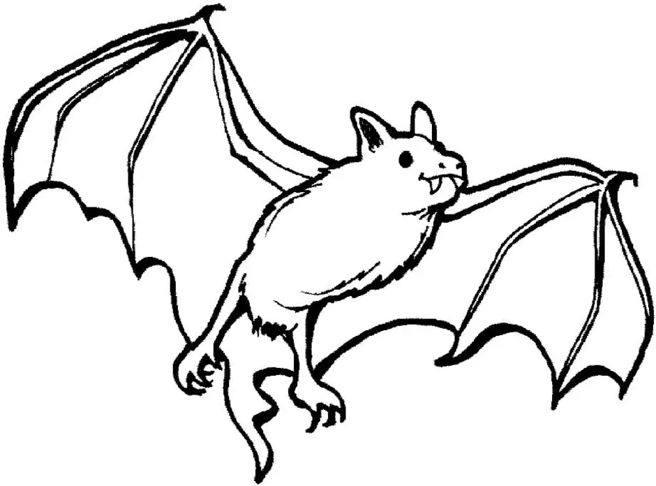 Летучая мышь рисунок