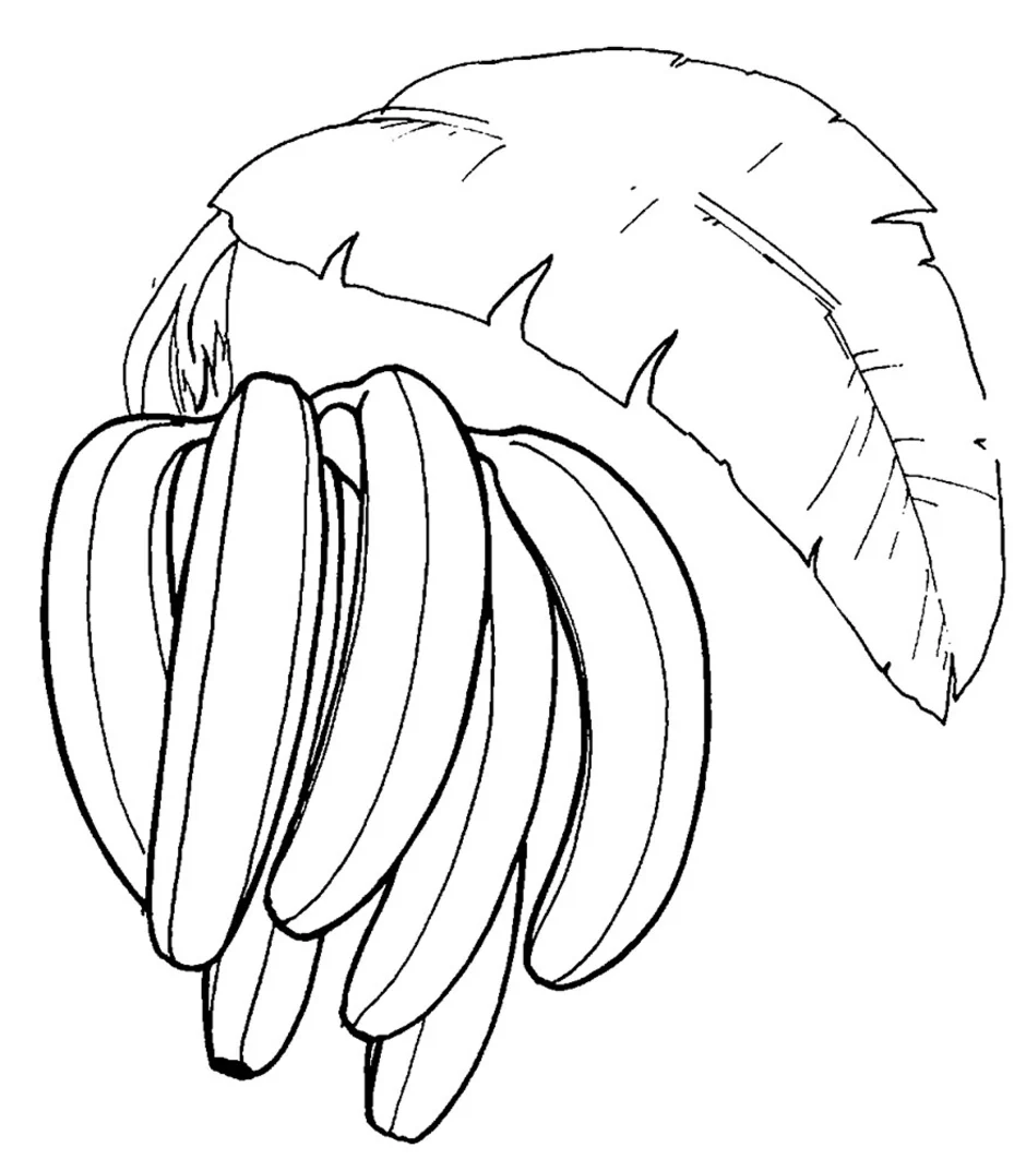 Банан рисунок карандашом