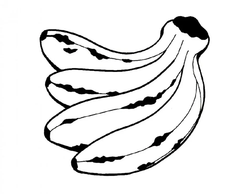 Ветка банан карандашом