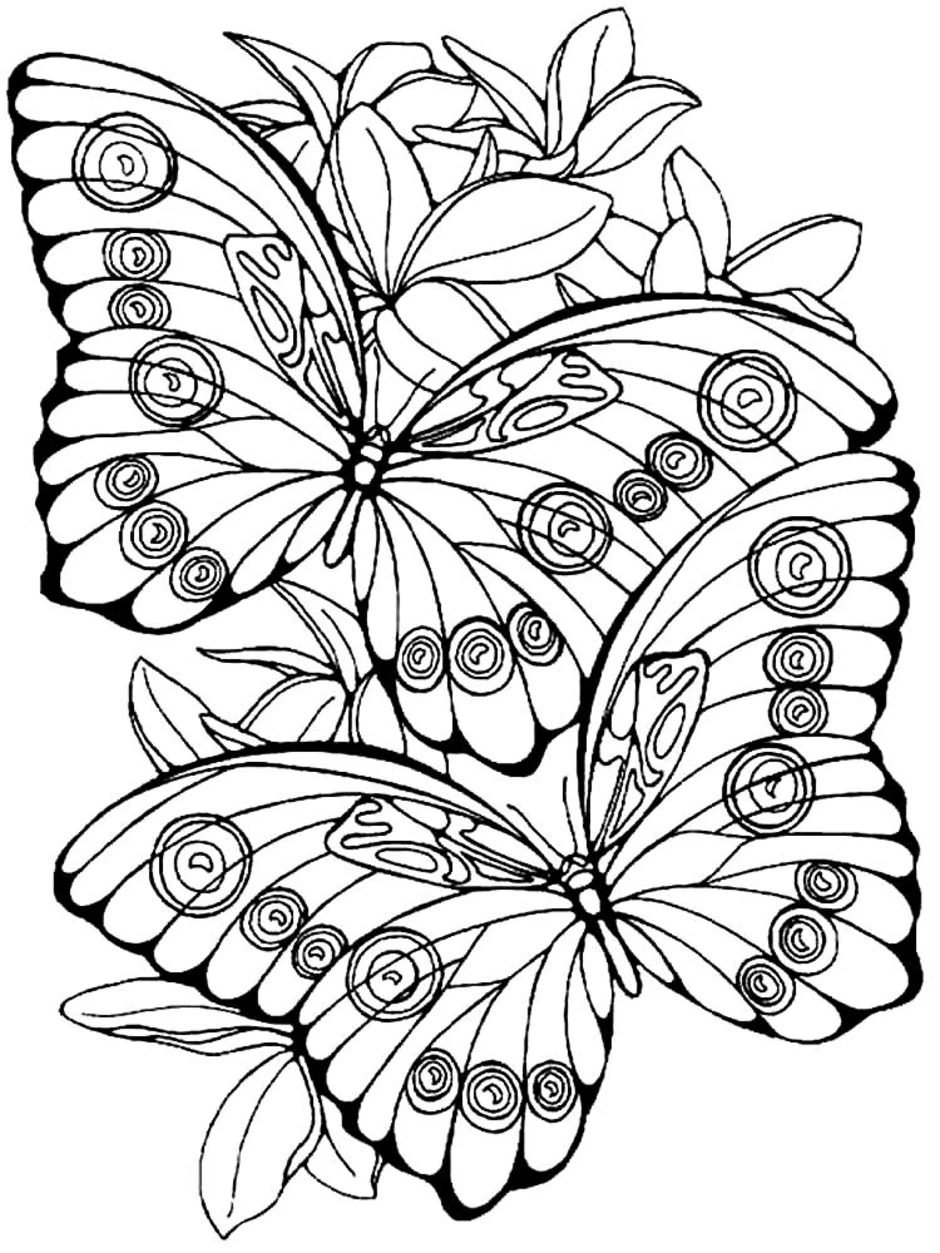 Раскраска бабочка красивая