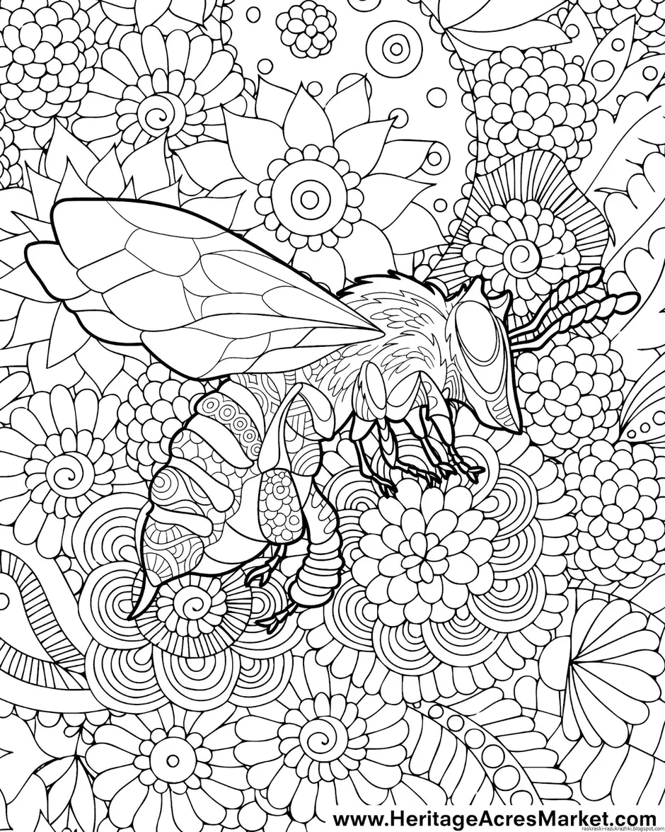 Раскраски антистресс насекомые