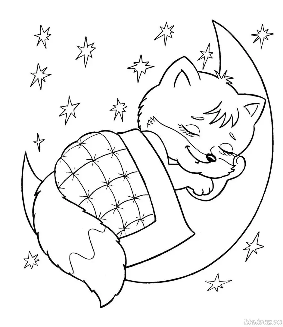 Котик на луне раскраска