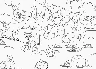 Лесные животные раскраска