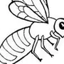 Раскраска пчелы для детей распечатать