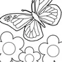 Раскраски Для Девочек Цветы И Бабочки