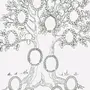 Родословное дерево раскраска