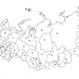 Карта россии с крымом раскраска