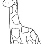Жираф картинка для детей раскраска