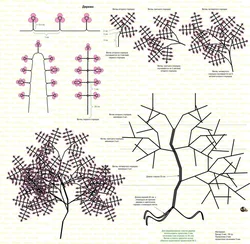 Простые деревья из бисера для начинающих