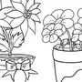 Комнатные Растения Раскраска Для Детей С Названиями