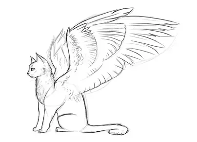 Кот с крыльями раскраска