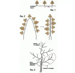 Маленькое Дерево Из Бисера Для Начинающих Пошагово