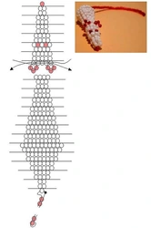 Белочка из бисера для начинающих